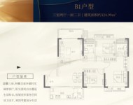 47号楼B1户型