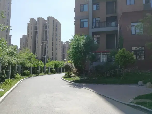廊桥国际