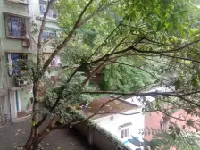 建东二村 2室1厅 东南 西南