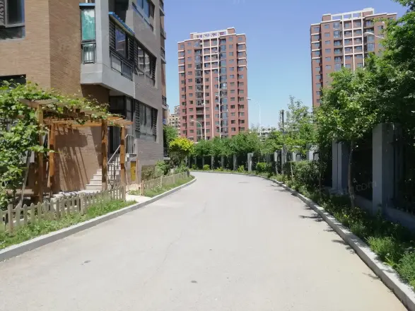 廊桥国际