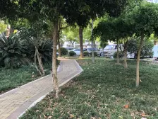 富岩路335弄 3室2厅 南