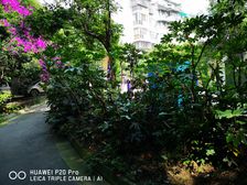 福祥家园瑞祥苑2室2厅西南