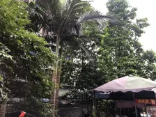 2010年小区 改好2房 出行方便 随时可看