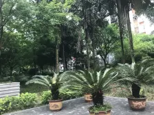 总价低的正规一室一厅 商品房 带屋顶花园可种菜