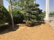 房子满两年,业主诚心出售,没有欠贷可立即签约过户。