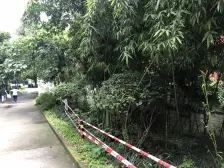 荣鼎新苑 1室1厅 西南