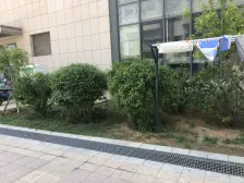 凤凰层 清水房 看房方便