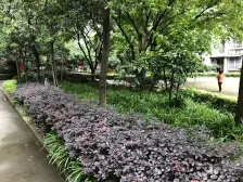 高新区 荣鼎新苑三房92.7万