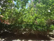 房主急售.精装修.电梯房.交通便利