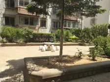 南北通透,三室户型,大客厅,产权清晰,出行便利