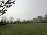 中央公园阳光草坪
