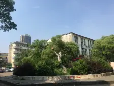 洛阳东路手表厂南路 南北通透,采光好 装修好,环镜优美 近地铁 视野好,诚心出售