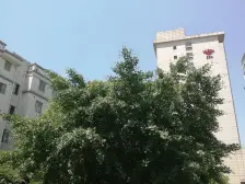 金色尚城3室2厅,视野采光好,小高层,交通方便,