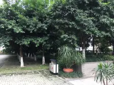 中冶重庆早晨 1室1厅 南