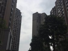 远大两房诚意出售,钥匙在手,看房方便