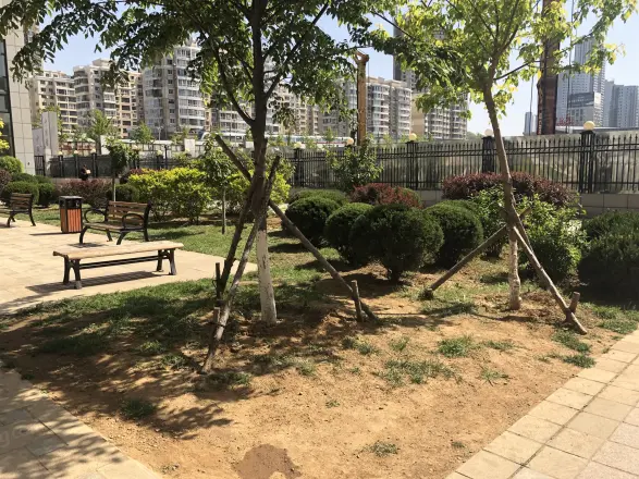 金科清都记忆