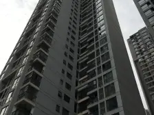 江北嘴 CDB 一线江景 两房 视野开阔