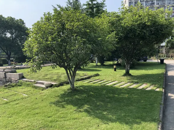 国际经贸园