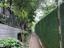 蜜城 1室1厅 东南 南