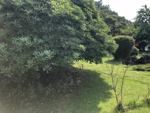 国际经贸园