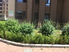 西岗区站北封闭小区电梯房有车位