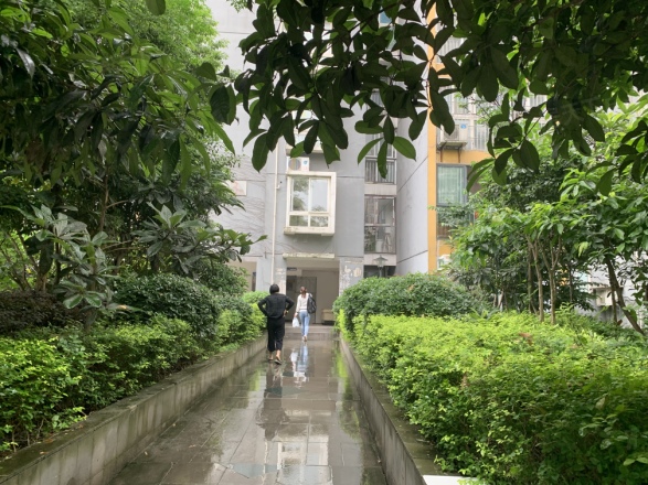 船舶云湖绿岛