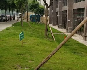正昌幸福岭1室1厅东南