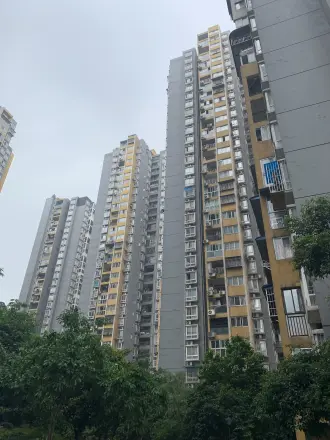 船舶云湖绿岛