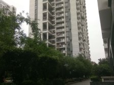 次新房精装三房两卫,采光通风,双阳对流,户型方正。