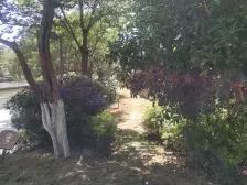 电梯房,主卧朝南,交通便利,精装修