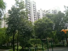 碧湖东岸 高层3房 户型好 地段方便 价格实惠