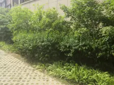 高新园区三室精装修,有阳台,光线视野好无遮挡