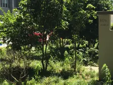 仓城六村,六楼装修好通风采光都好的三房