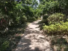 装修齐全,精装修,客厅带阳台,三房朝南,小区中心位置,一梯两户,小区景观位置