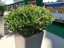 地铁上造乾宁府平层精装两房即买即用