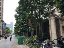 业主诚意出售,负一楼有充分拓展空间