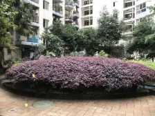 永辉旁 大两房 配套成熟 出行便捷