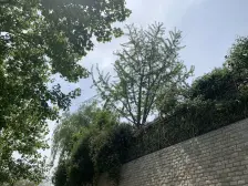 华泰街 2室1厅 南