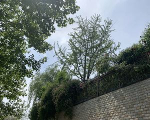 付家庄海景四层海寰别墅,精装修能看海面