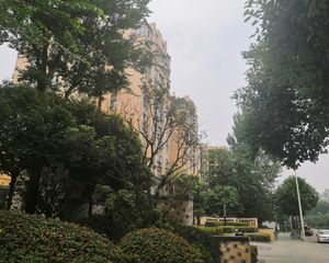 华腾舒云居3室2厅南