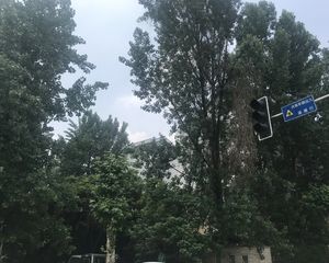心愿花园一期2室2厅南