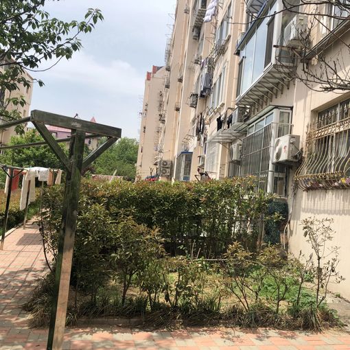 华严一路小区1室1厅1卫东朝向1300.00元/月出租