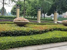 佳兆业8号3室2厅东南