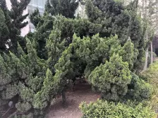 德泰时代广场 三室大房子 优质户型