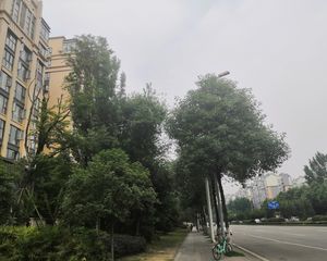 华腾舒云居2室1厅南