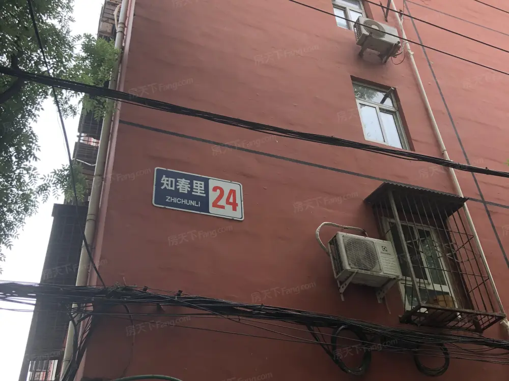 中关村 中 北大附 知春里小区 可以长租三年 随时能看