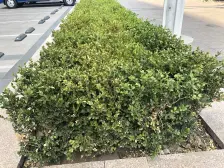 德泰南北通透户型,高楼层采光好,视野看山看海