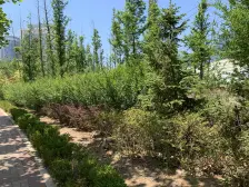 亿达普罗旺斯三期 联排别墅 诚心出售 看房方便