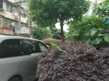 新上!近华理地铁口南站商圈覆盖!“站城融合”生态圈