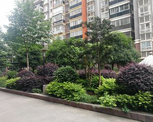 新紫薇鑫园4室2厅南北